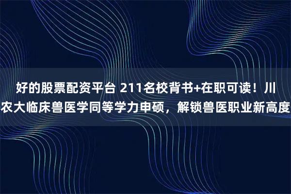 好的股票配资平台 211名校背书+在职可读！川农大临床兽医学同等学力申硕，解锁兽医职业新高度